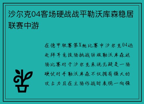 沙尔克04客场硬战战平勒沃库森稳居联赛中游